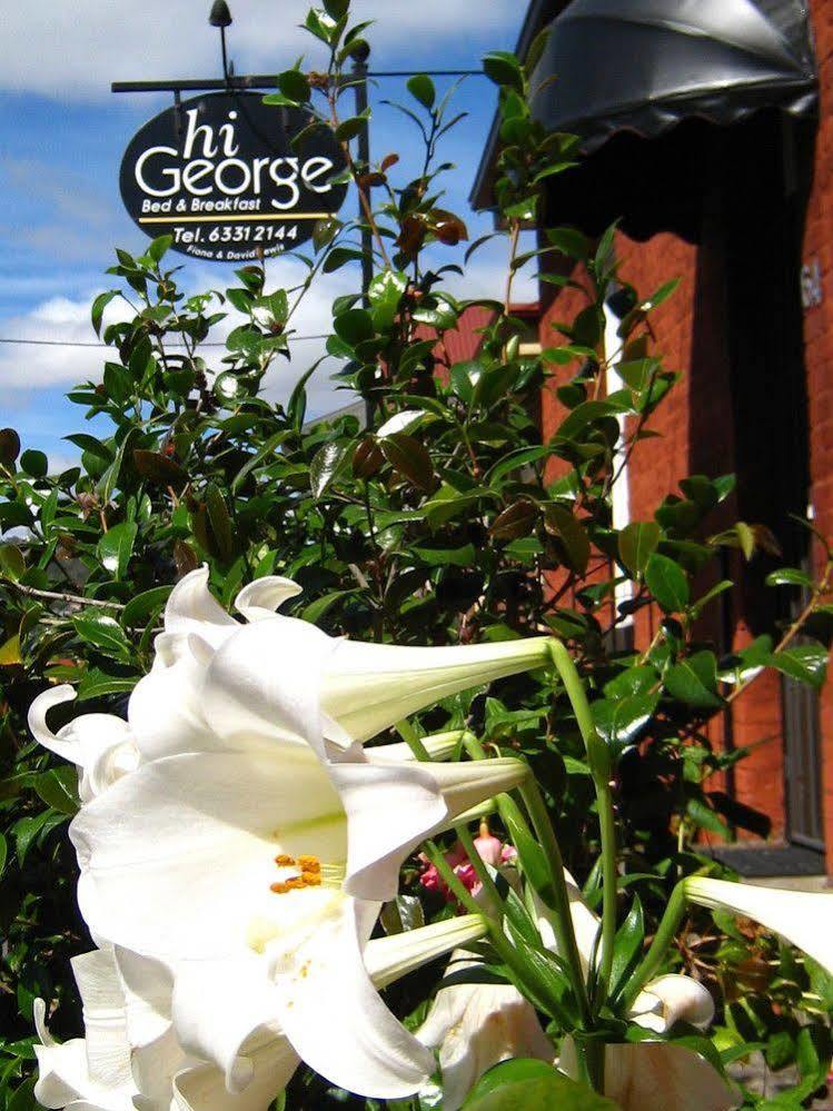 Hi George B&B Launceston Extérieur photo